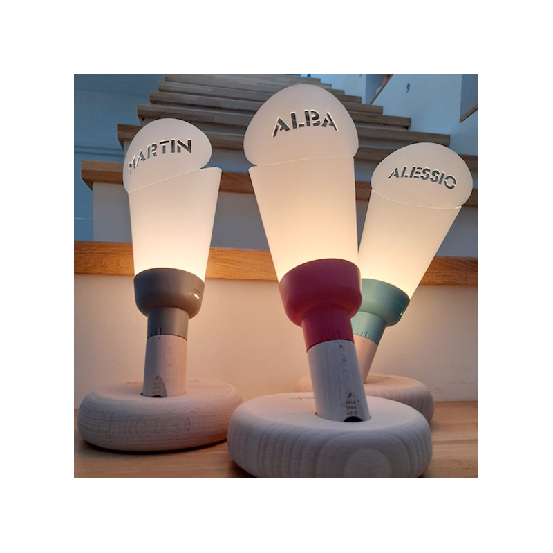 Abat-jour Personnalisable pour Lampe Passe-Partout